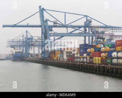 Rotterdam, Pays-Bas - 20 juillet 2015 : plusieurs conteneurs de marchandises sont en attente d'expédition à l'Europort Rotterdam, le plus grand port commercial. Banque D'Images