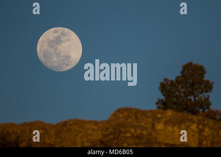 La Luna Llena de febrero, conocida como Luna de Nieve, pudo verset mientras el satélite ingresaba la zone de pénombre de la Tierra, en lo que se conoce como un eclipse pénombre. Aqui se obser su salida en el horizonte de los cerrros cercanos a Creel, Chihuahua, Mexique donde habita la comunidad indigena raramuri la pleine lune de février, connue sous le nom de lune de neige, pourrait être vu comme le satellite est entré dans la zone de pénombre de la terre, dans ce qu'on appelle une pénombre eclipse. Ici il est observé à la sortie dans l'horizon des collines près de Creel, Chihuahua, Mexique, où habite les peuples commun Banque D'Images