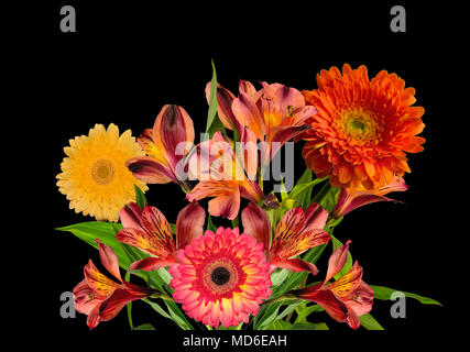 Bouquet de belles fleurs jaune orange Alstroemeria gerberas et isolé sur fond noir - détail délicat de printemps ou été festif floral Banque D'Images