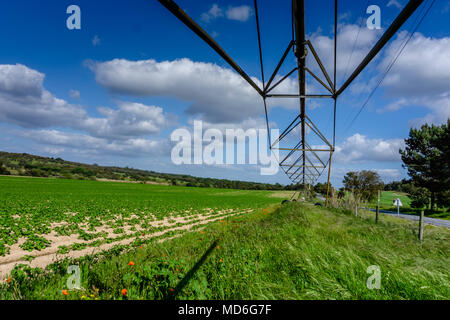 Système eau-pivot dans un champ agricole, l'irrigation de l'agriculture Vue de dessous la machine. Banque D'Images