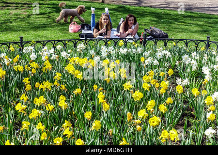 Prague Printemps dans le parc Letna Parc Prague République tchèque jardin scène printemps femme Prague fleurs Prague amis narcisses moderne Banque D'Images