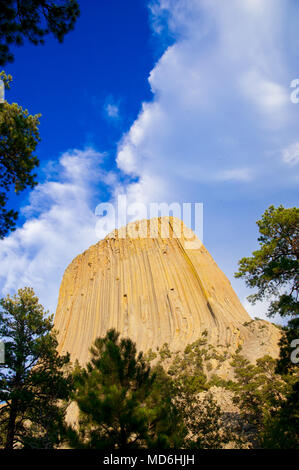 Devils Tower est situé dans la région de Crook comté, le nord-est du Wyoming. Aussi, connu sous le nom de United States National Monument. Banque D'Images