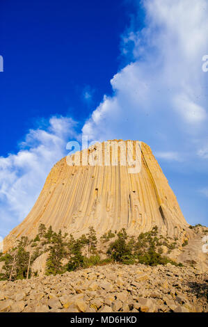 Devils Tower est situé dans la région de Crook comté, le nord-est du Wyoming. Aussi, connu sous le nom de United States National Monument. Banque D'Images