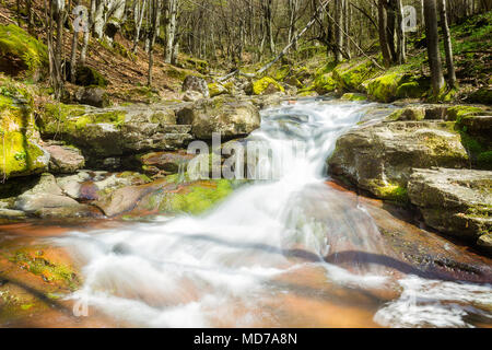 Motion Blur forest creek cascadant les roches rouges couvertes par la mousse colorée Banque D'Images