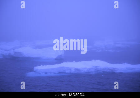 Iceberg flotte dans la mer près de l'Écosse Péninsule antarctique. Banque D'Images