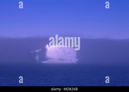 Immense iceberg flotte dans la mer près de l'Écosse Péninsule antarctique. Banque D'Images