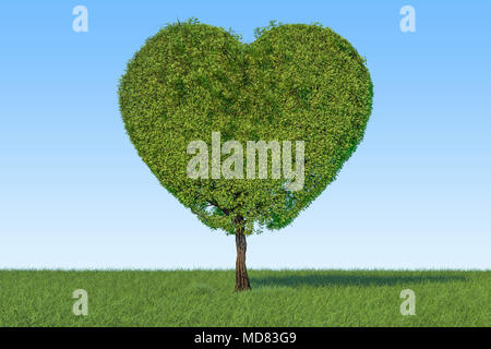 Arbre en forme de coeur sur l'herbe verte sur fond de ciel bleu, 3D Rendering Banque D'Images
