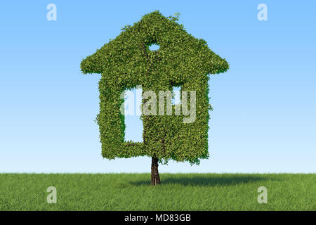 Maison écologique concept. Arbre dans la forme d'accueil sur l'herbe verte sur fond de ciel bleu, 3D Rendering Banque D'Images