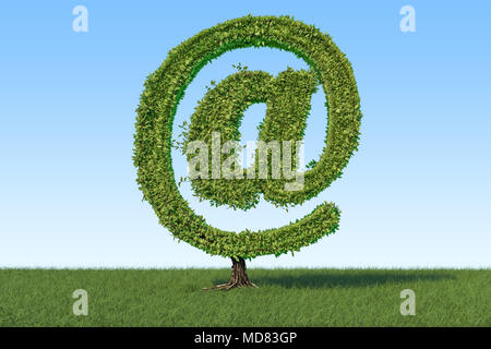 Arbre dans la forme de mail symbole sur l'herbe verte sur fond de ciel bleu, 3D Rendering Banque D'Images