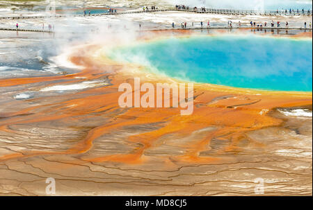 Close up de touristes marchant sur la passerelle surélevée par le Grand Prismatic Spring à l'intérieur du parc national de Yellowstone, Wyoming, USA. Banque D'Images