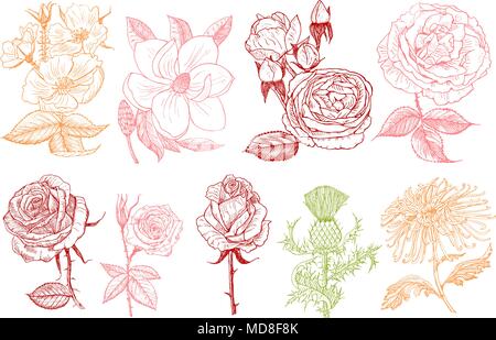 Ensemble de mariage fleurs botanique dans le jardin ou usine de ressorts. Aster, dahlia avec bourgeons, pivoines et roses, les jonquilles. Vector illustration gravée à la main. dans la région de Old vintage esquisse pour carte. Illustration de Vecteur