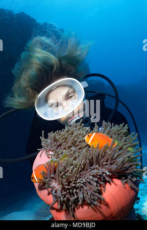 Montres de plongée magnifique anémone de mer (Heteractis magnifica) avec Rose paire skunk (Amphiprion perideraion clownfishes) Banque D'Images