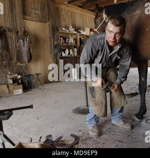 Montage d'un cheval avec horsehoes dans un ranch au Texas de l'Ouest Banque D'Images