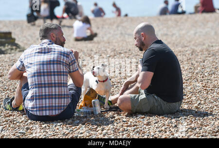 Brighton UK 19 avril 2018 - La plage de Brighton est emballé comme visiteurs profiter de la lumière du soleil chaude aujourd'hui . Le beau temps chaud est appelée à se poursuivre tout au long de la Grande-Bretagne avec les températures devraient atteindre dans les années 20 élevée dans certaines parties du sud-est Crédit : Simon Dack/Alamy Live News Banque D'Images