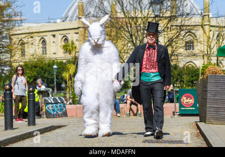 Brighton UK 19 avril 2018 - Temps chaud pour une promenade avec un lapin géant à Brighton Centre-ville aujourd'hui . Ils font partie de la Duo Bogof art magique qui participera au Fringe Brighton en mai . Le beau temps chaud est appelée à se poursuivre tout au long de la Grande-Bretagne avec les températures devraient atteindre dans les années 20 élevée dans certaines parties du sud-est Crédit : Simon Dack/Alamy Live News Banque D'Images