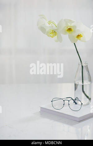 Branche d'orchidée blanche dans un vase sur la table. Banque D'Images
