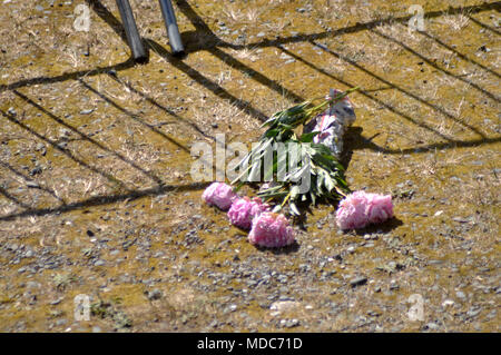 Fleurs jeté à la rivière aux Brochets, Service commémoratif en l'honneur des 29 hommes tués dans la mine de Pike River près de Greymouth, 2010 Banque D'Images