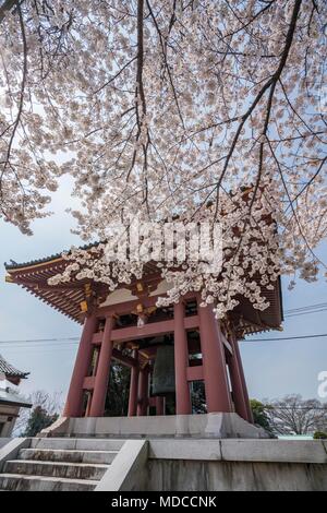 Temple Ikegami Honmonji, Tokyo, Tokyo, Japon Banque D'Images