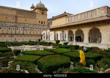 Femme indienne portant un sari jaune travaillant dans le jardin de l'Amber Fort Amer Jaipur Inde Rajashan Banque D'Images