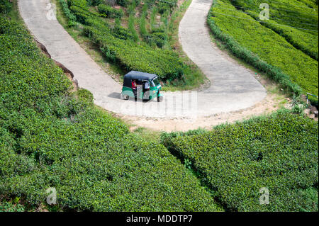 Vue aérienne de Taxi Tuktuk sur une plantation de thé, près de Nuwara Eliya, Sri Lanka, une route sinueuse qui serpente à travers un paysage verdoyant Banque D'Images