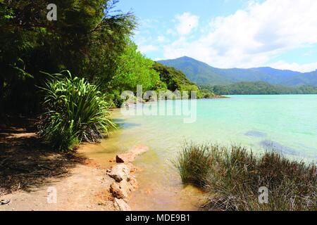 Awaroa Camping, parc national Abel Tasman, île du Sud, Nouvelle-Zélande Banque D'Images