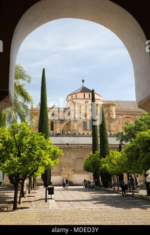 Patio de los Naranjos de la Mezquita, Cordoue, Andalousie, Espagne, Europe Banque D'Images