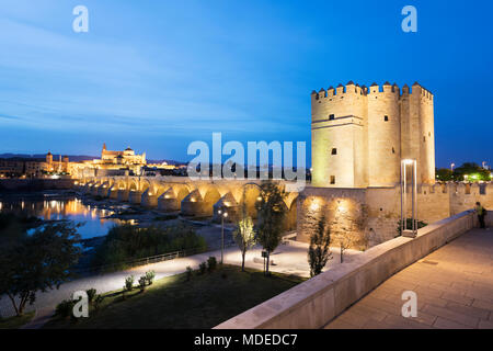 La Mezquita et pont romain sur le Guadalquivir illuminée la nuit, Cordoue, Andalousie, Espagne, Europe Banque D'Images