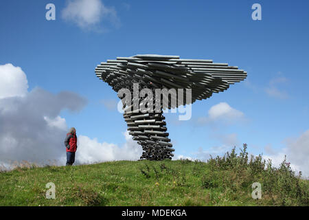 Le chant en sonnerie arbre sur Crown Point, une partie de l'Pennine moors près de Burnley, Lancashire. Banque D'Images