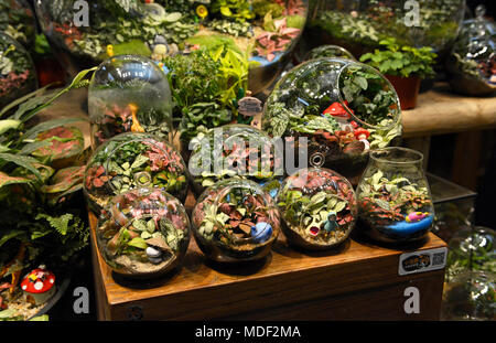 Terrariums à vendre à l'usine marché à Beijing, Chine Banque D'Images