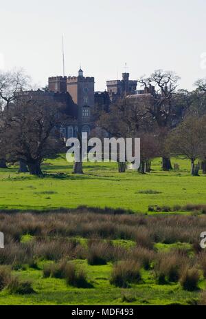 Powderham Castle au-delà ouvrir un parc boisé de chêne. Offres et demandes de Powderham, Exeter, Devon, UK. Avril, 2018. Banque D'Images