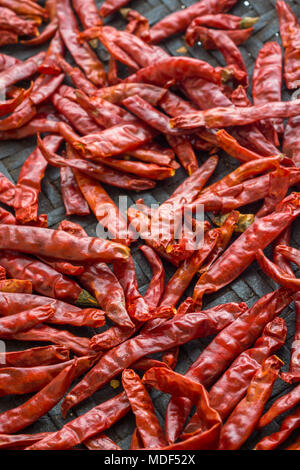 Piments séchés au soleil dans le panier de battage. Banque D'Images