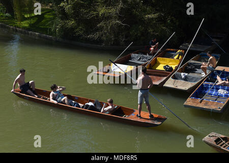 Les gens punt le long de la rivière Cam à Cambridge sur ce que devrait être la journée la plus chaude de l'année jusqu'à présent. Banque D'Images