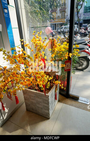 L'abricotier jaune artificiel au cours du Nouvel An lunaire chinois in office lobby lors du Têt, Ho Chi Minh City Saigon, Vietnam ; Banque D'Images