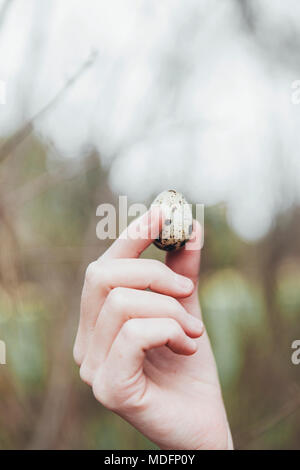 Woman's hand holding un oeuf de caille Banque D'Images