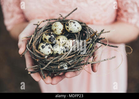 Woman's hand holding un nid avec des oeufs de cailles Banque D'Images