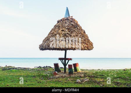 Ombrage parasol en chaume d'une table à pique-nique sur une plage de sable avec des vagues sur le bleu de l'océan dans l'arrière-plan. La Californie. Conséquences d'une p Banque D'Images