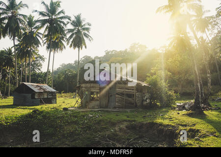 Pauvre maison ancienne avec des champignons sur les murs des locaux dans le Nord de Goa.L'Inde. Cabine détruit, cassé maison dans la jungle dans la lumière du soleil. Banque D'Images