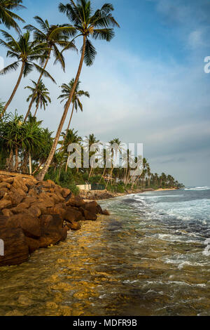 Plage bordée de palmiers, Polhena, province du Sud, Sri Lanka Banque D'Images