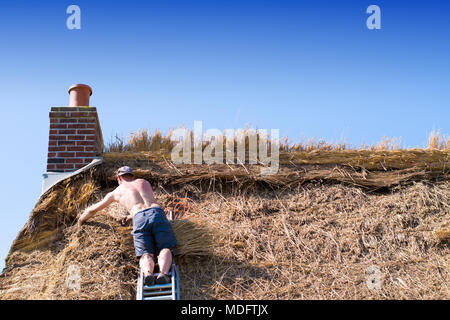 Thatcher maître chaume toit Cottage Banque D'Images