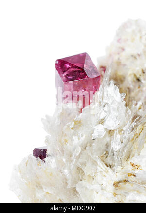 La tourmaline rouge pierre précieuse dans la matrice de rubellite moscovites Malkhan isolated on white Banque D'Images