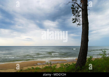 Seascape avec arbre pin solitaire sur dune. Paysage de la mer Baltique pendant temps nuageux, occidentale, dans le nord de la Pologne. Banque D'Images