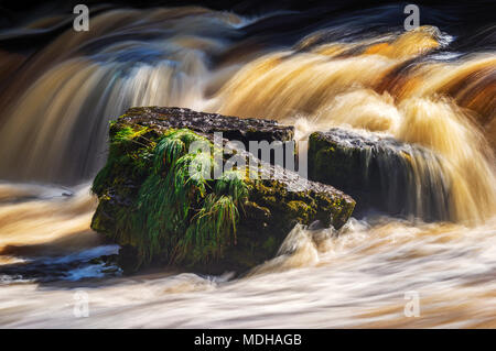 Les roches dans Aysgarth Falls, un triple vol de cascades de la Rivière Ure dans le Yorkshire Dales de l'Angleterre, près du village de Aysgarth Banque D'Images