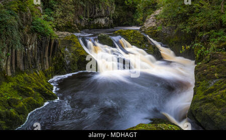 Le sentier des chutes d''Ingleton est de 5 milles de long, avec un dénivelé de plus de 500 pieds ; Ingleton, North Yorkshire, Angleterre Banque D'Images