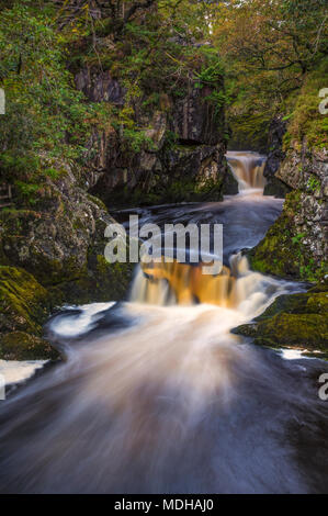 Le sentier des chutes d''Ingleton, 5 milles de long, avec un dénivelé de plus de 500 pieds ; Ingleton, North Yorkshire, Angleterre Banque D'Images