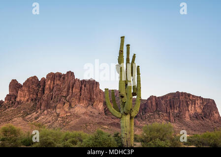 Lost Dutchman State Park avec la Superstition Mountain en arrière-plan, près de Apache Junction, Arizona, United States of America Banque D'Images