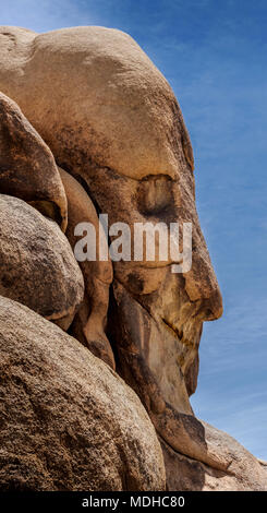 Face Rock, le parc national Joshua Tree, California, United States of America Banque D'Images