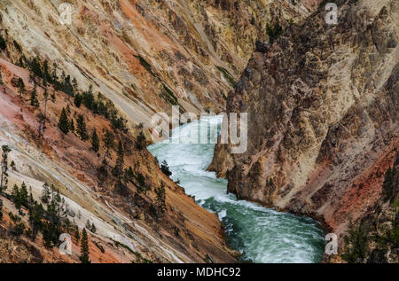 Yellowstone River qui coule à travers le canyon, le Parc National de Yellowstone, Wyoming, United States of America Banque D'Images