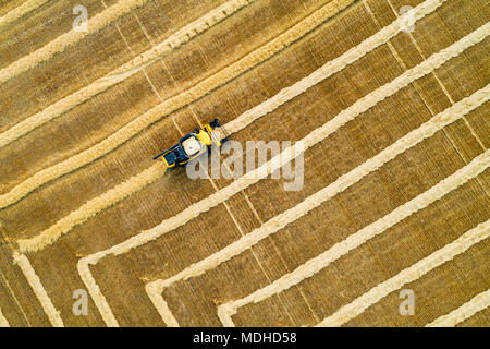 Vue artistique de l'antenne directement au-dessus d'une moissonneuse-batteuse la collecte des lignes de grains ; Beiseker, Alberta, Canada Banque D'Images