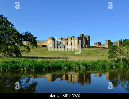 Château d'Alnwick reflétée sur la rivière Aln, Alnwick, Northumberland, Angleterre Banque D'Images