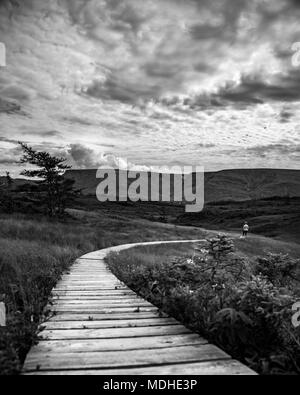 Image en noir et blanc d'un trottoir de bois s'étendant à travers un paysage avec un homme dans la distance ; Bonavista, Terre-Neuve et Labrador, Canada Banque D'Images